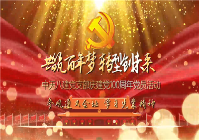 yth2206游艇会官方网站八建党支部庆党建100周年党员活动